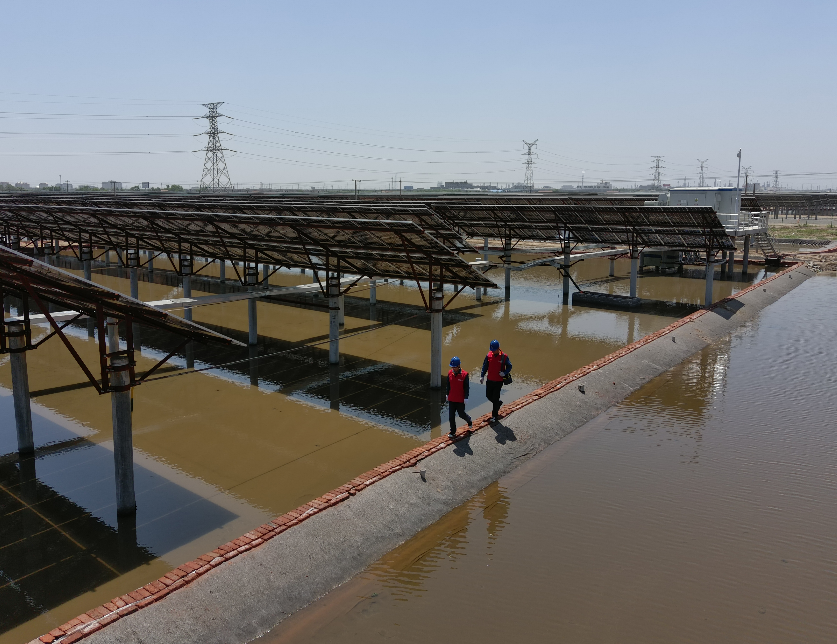 leyu乐鱼online(中国)省电线电缆行业leyu乐鱼online(中国)