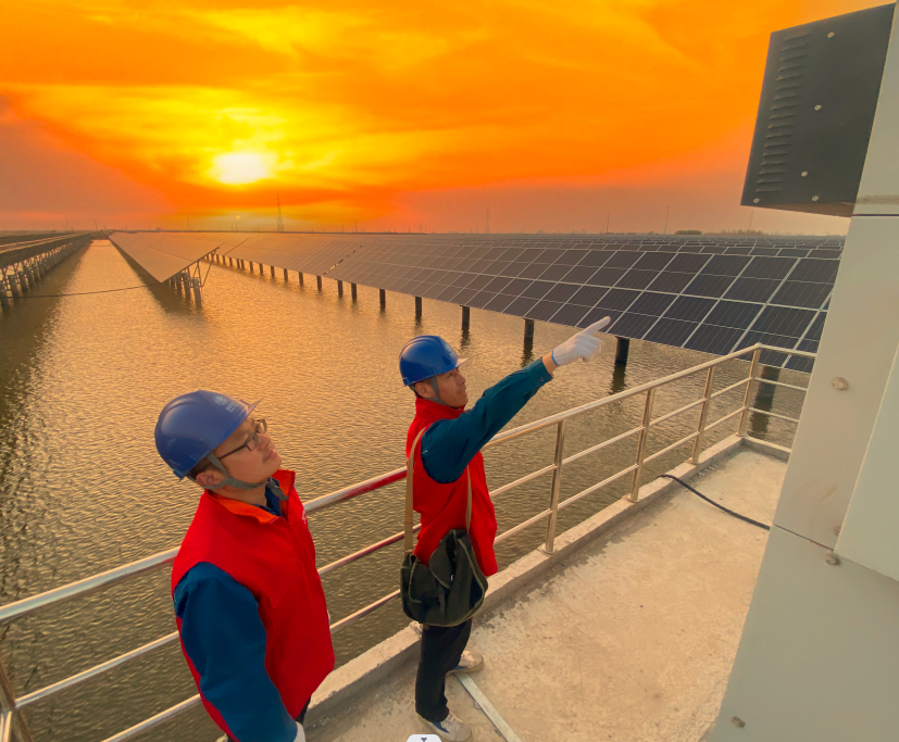 leyu乐鱼online(中国)省电线电缆行业leyu乐鱼online(中国)