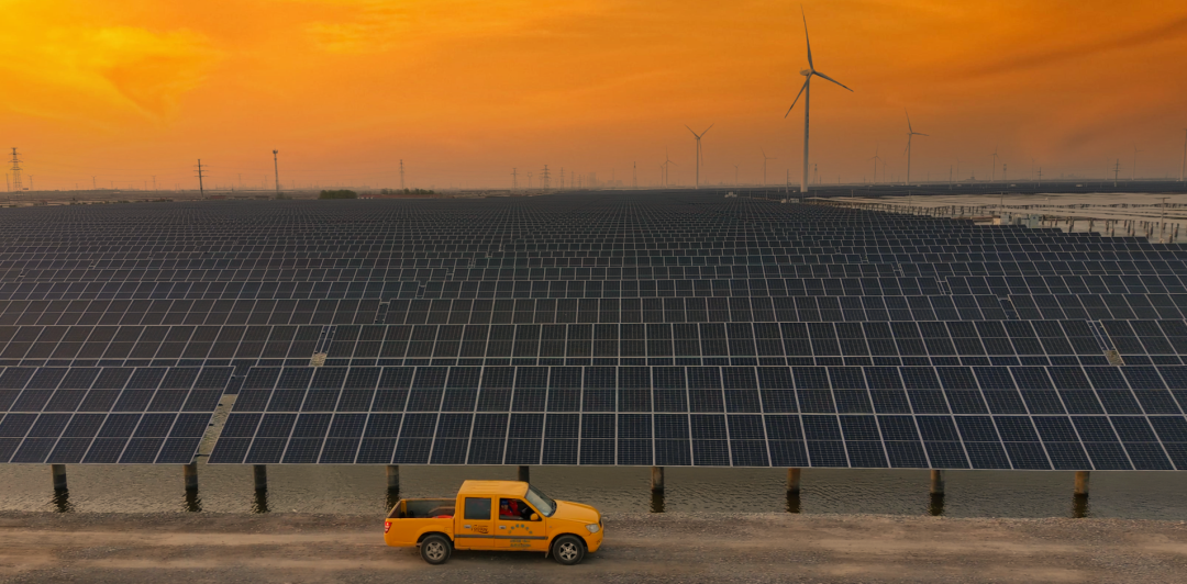 leyu乐鱼online(中国)省电线电缆行业leyu乐鱼online(中国)