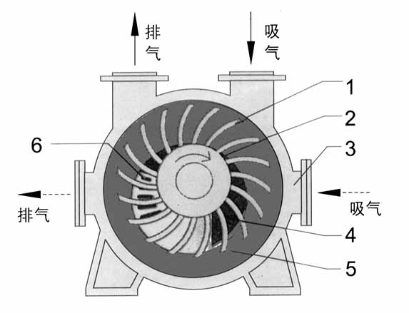 2BE1水环式开云在线(中国)结构图